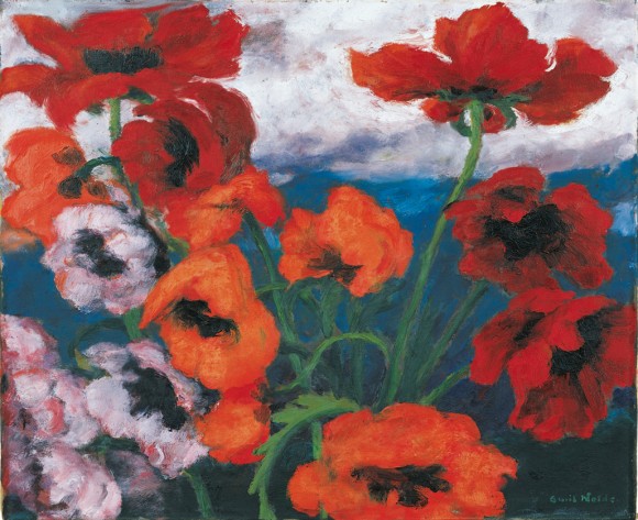 Mehrere kräftig rote Mohnblüten ragen in den Himmel und scheinen den blauen Himmel zu durchqueren bis sie die weiße Wolkenschicht erreichen.